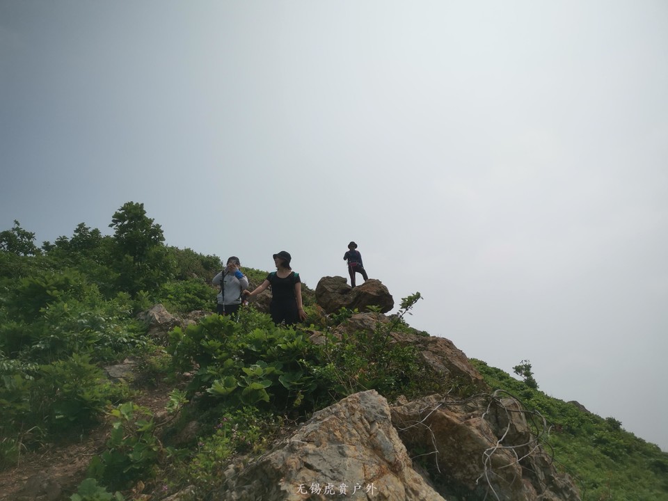 微信图片_20200513091335