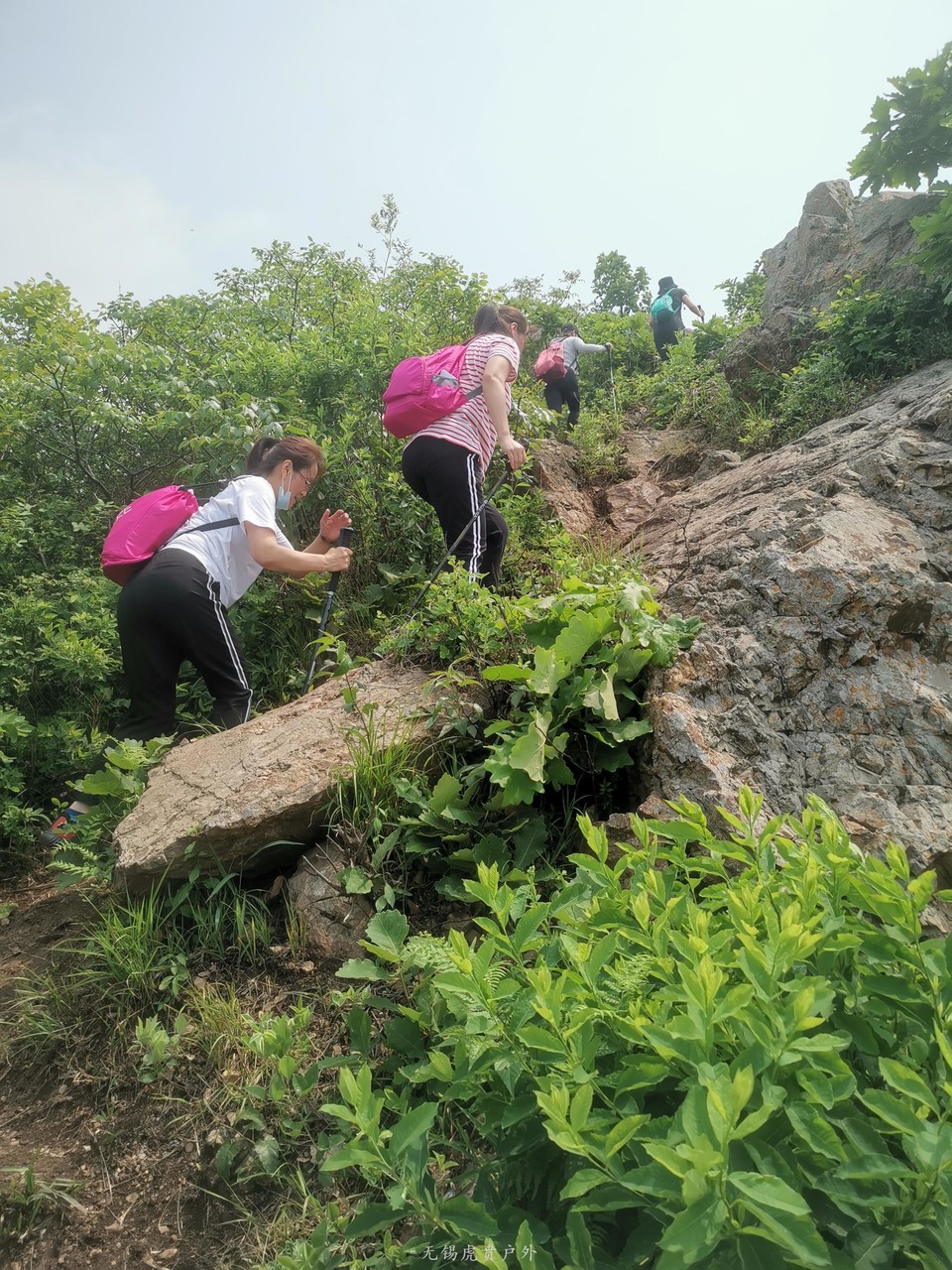 微信图片_20200513091346