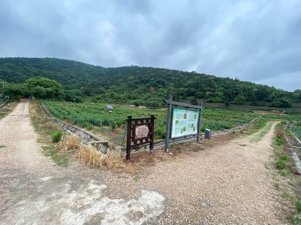 mmexport1590812106904