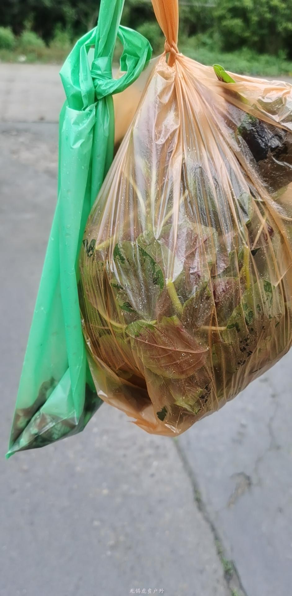 mmexport1590812192136