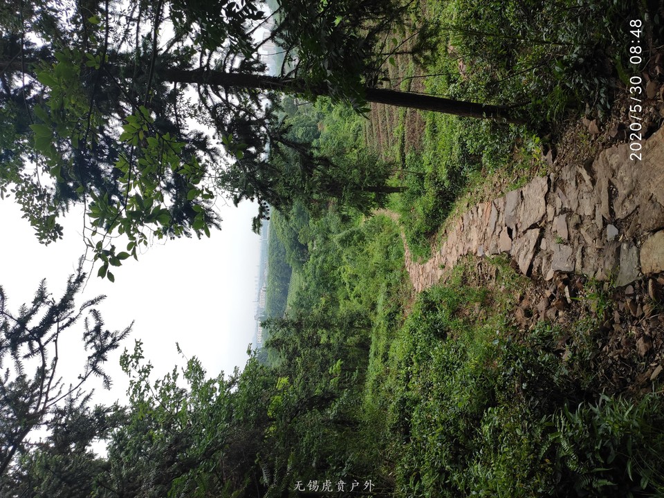 mmexport1590812217527