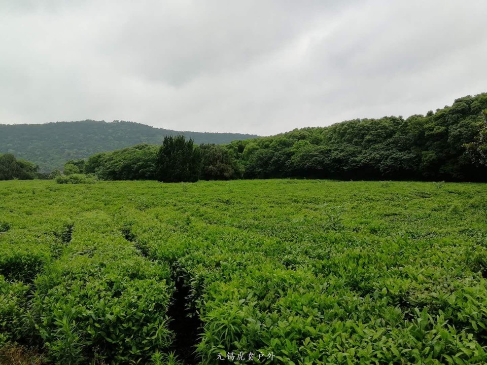 mmexport1590812289845