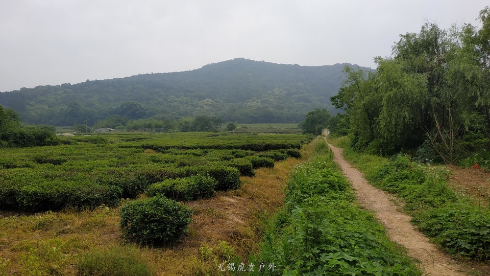 微信图片_20200530132327