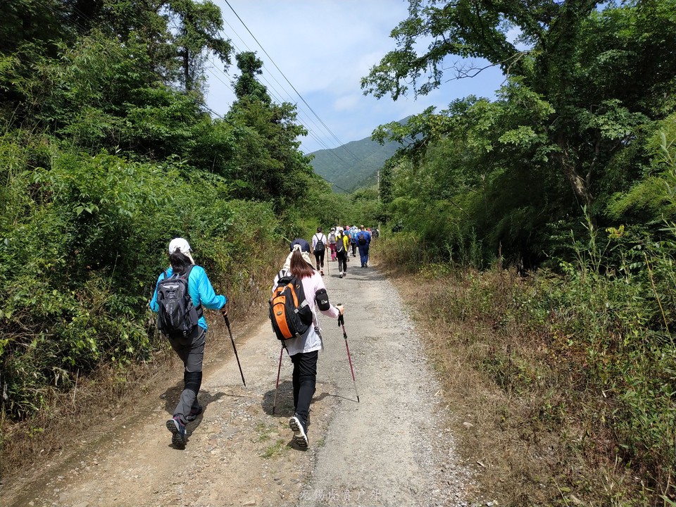 mmexport1591510452358