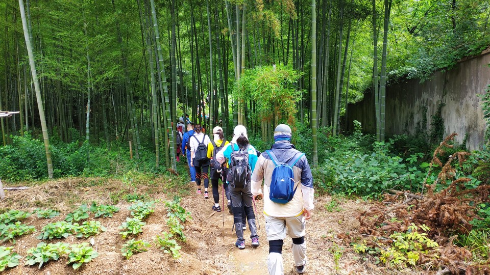 mmexport1591510454119