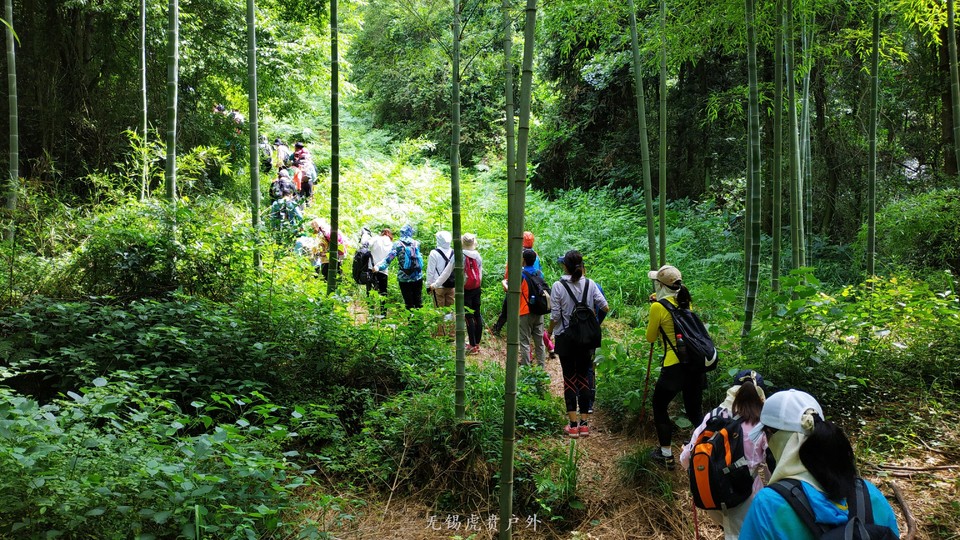 mmexport1591510455877