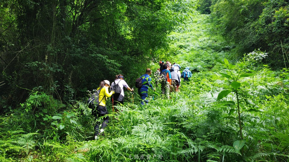 mmexport1591510458637