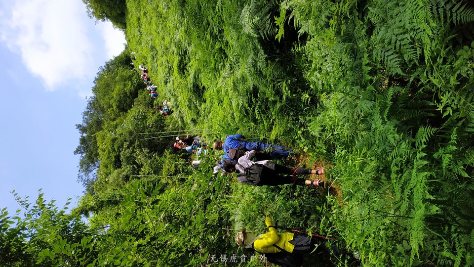 mmexport1591510459727