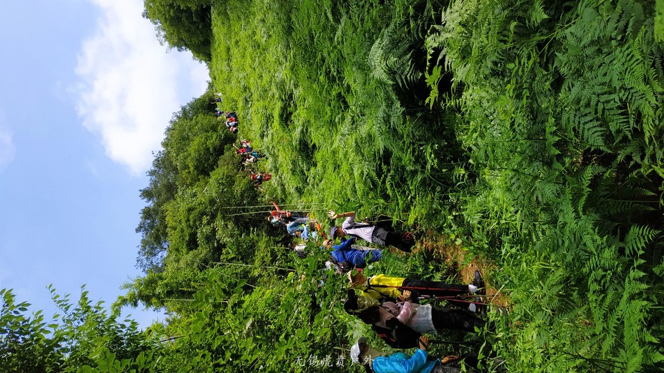 mmexport1591510460886