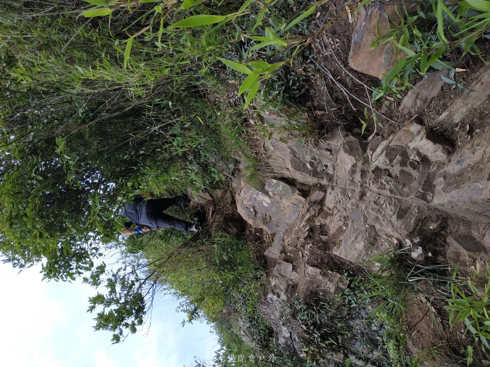 mmexport1591510462448