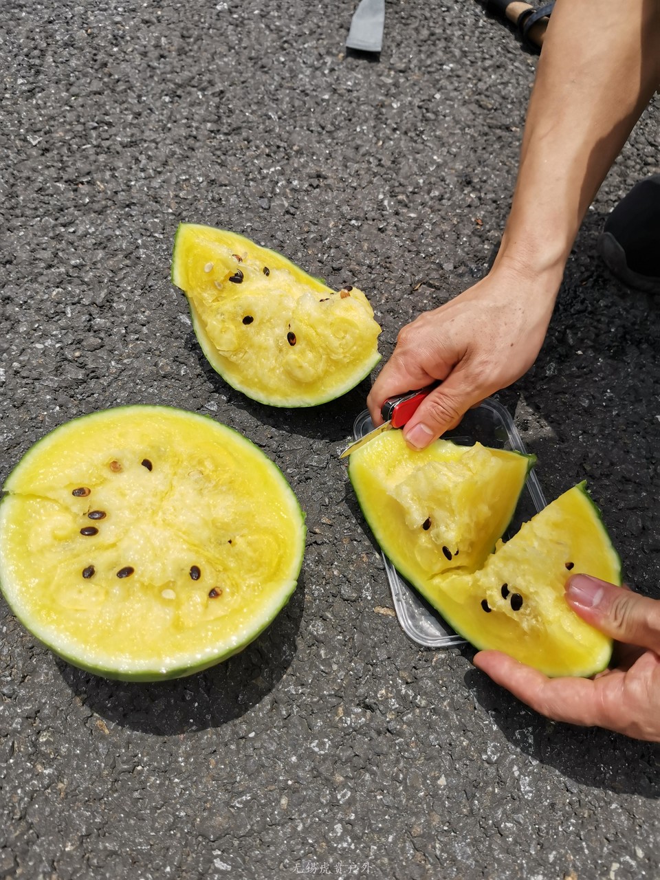 mmexport1591586155033