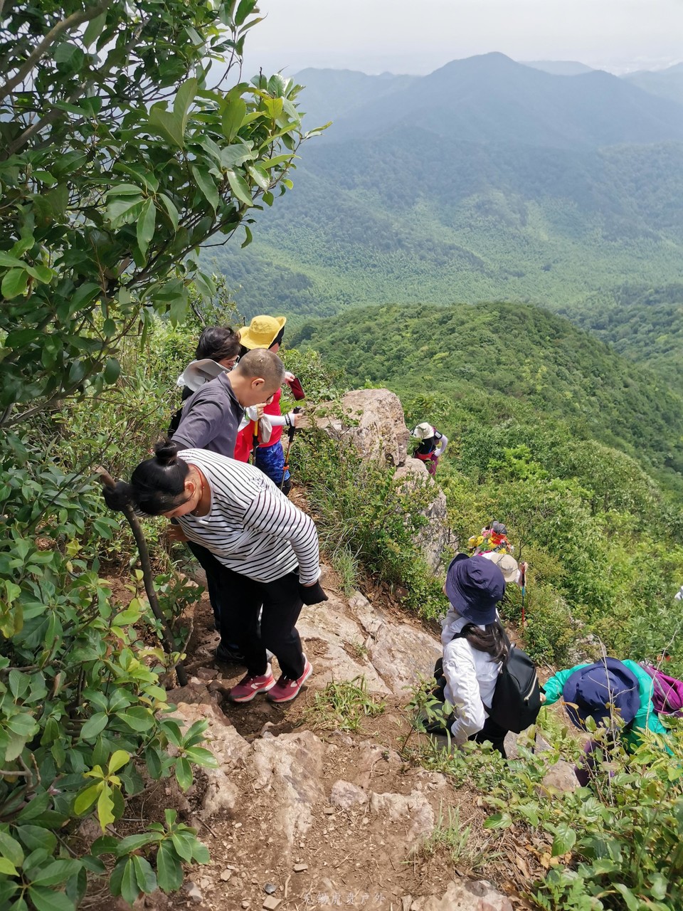 mmexport1591586382056