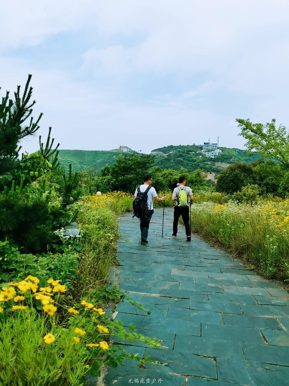 mmexport1591586395837