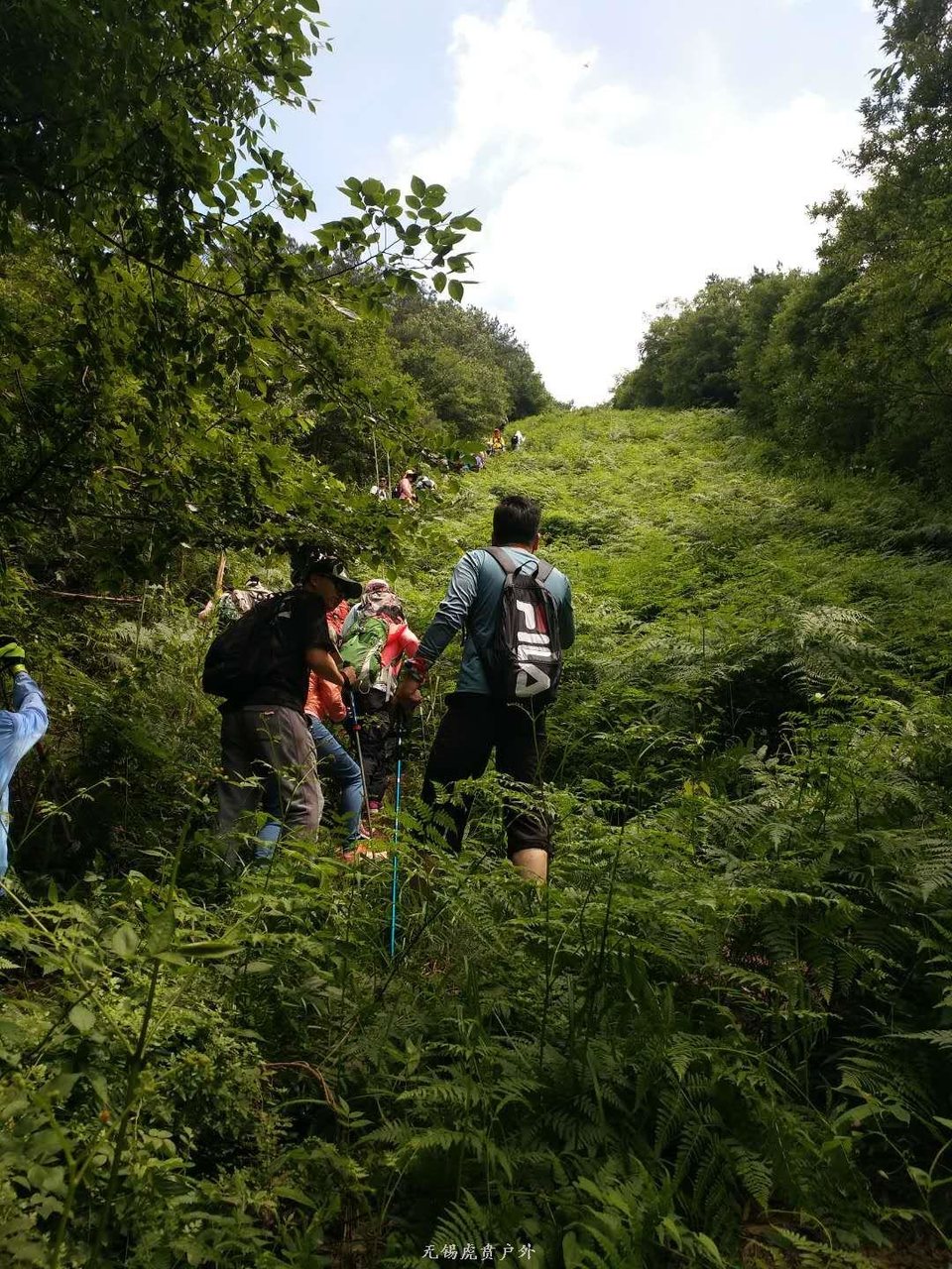 mmexport1591586468319