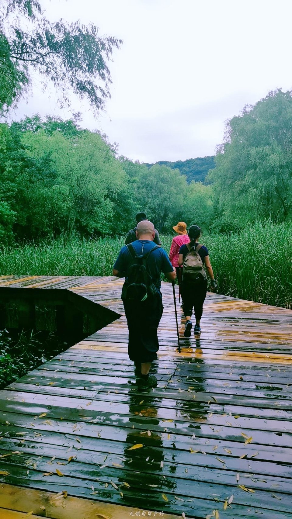 mmexport1596853165789