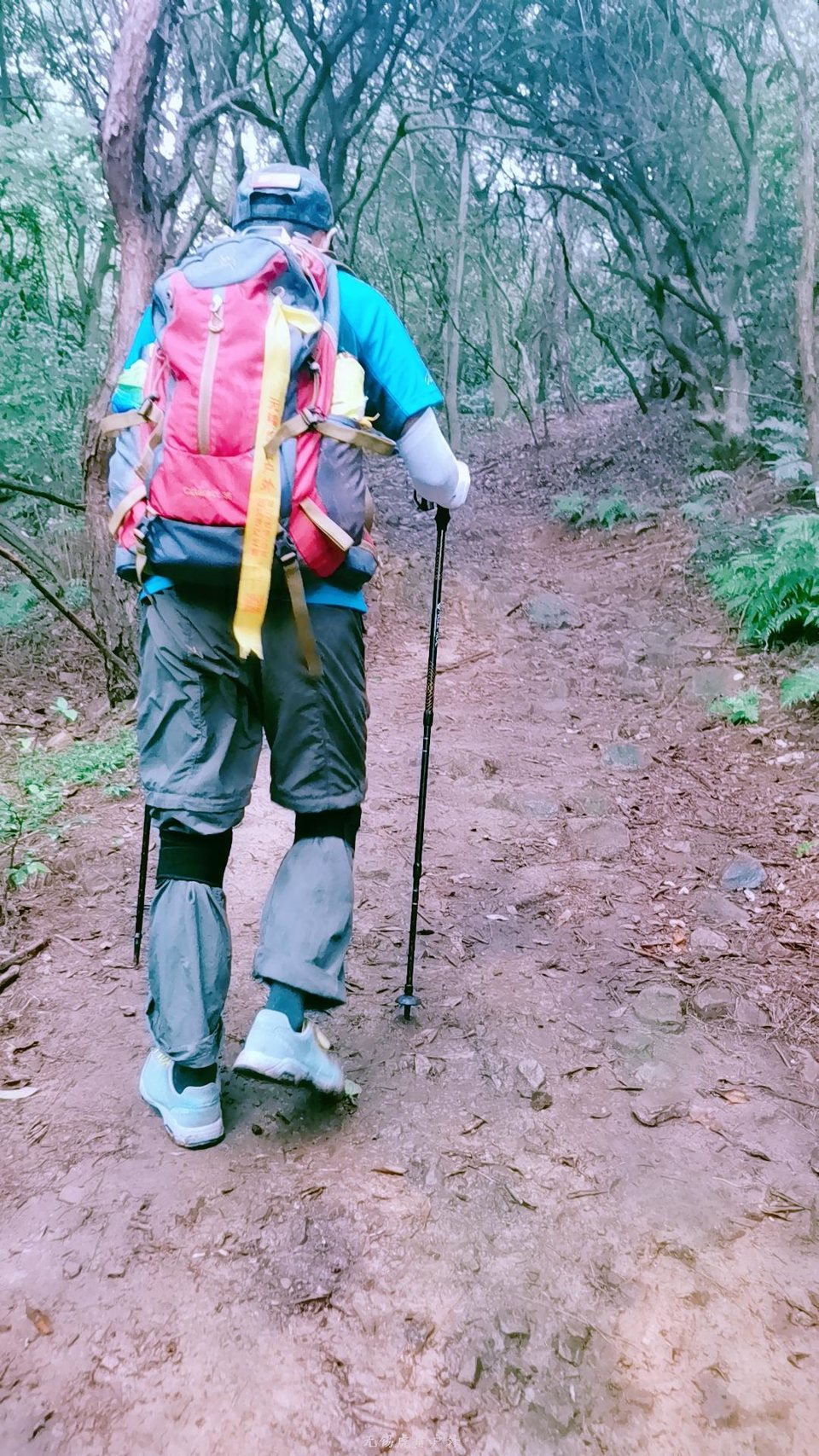 mmexport1596853173249