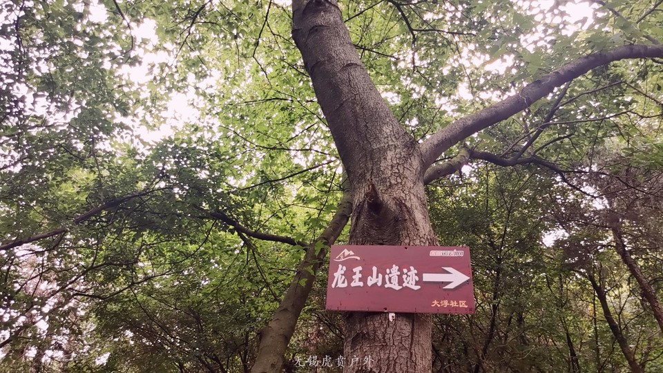 mmexport1596853222546