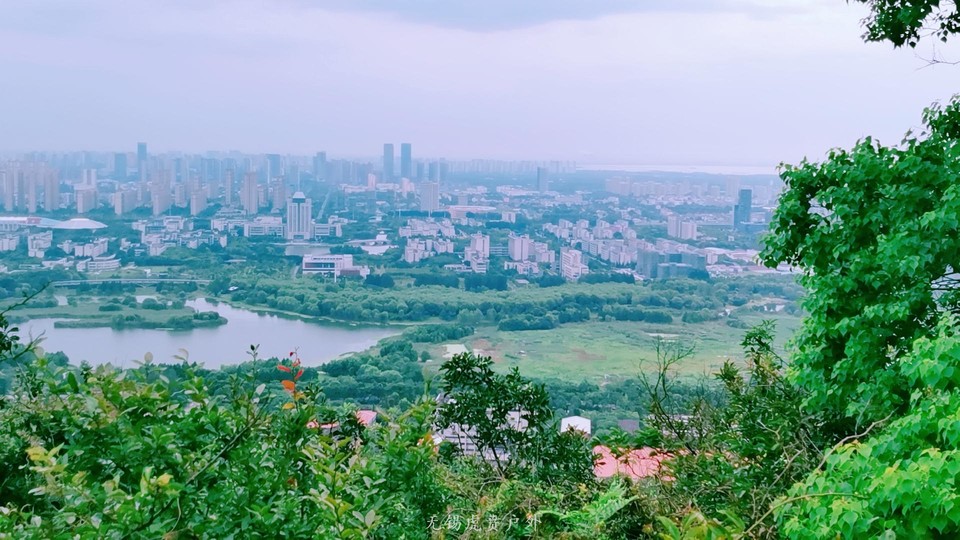 mmexport1596853232059