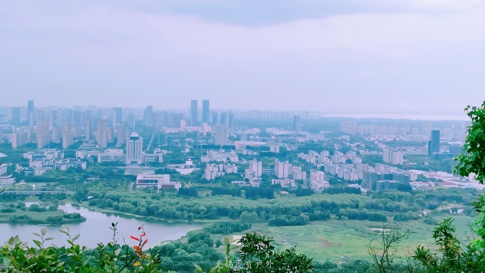 mmexport1596853233552