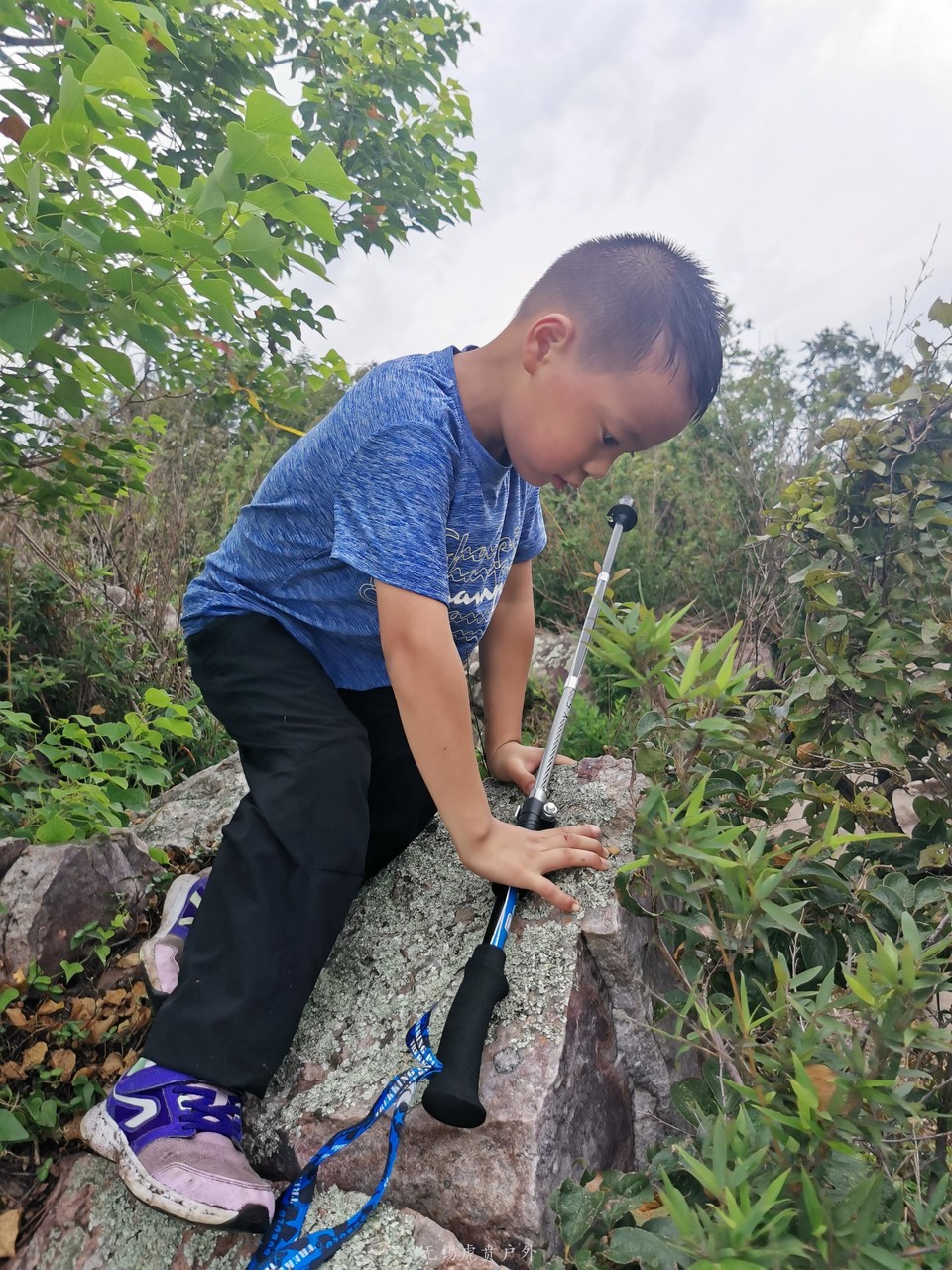 mmexport1596853276061