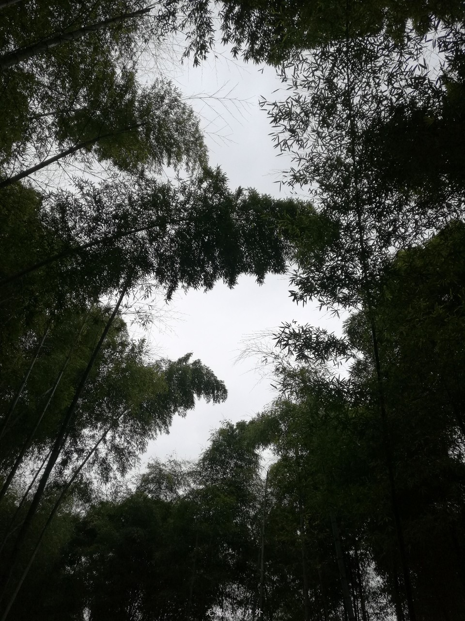 微信图片_20190119185237