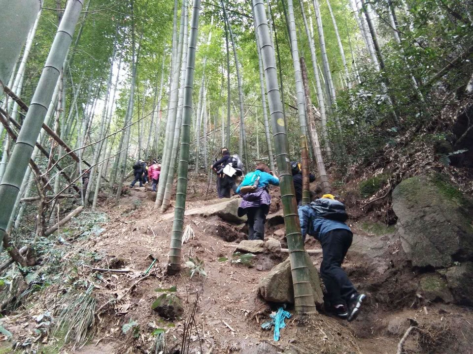 微信图片_20190119190701