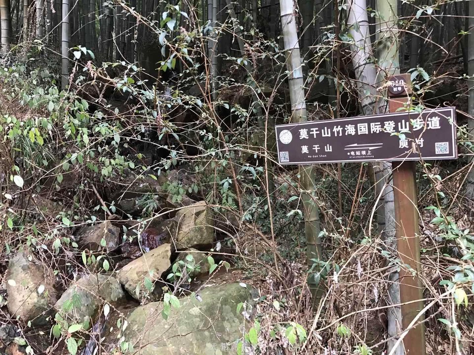 微信图片_20190119191620