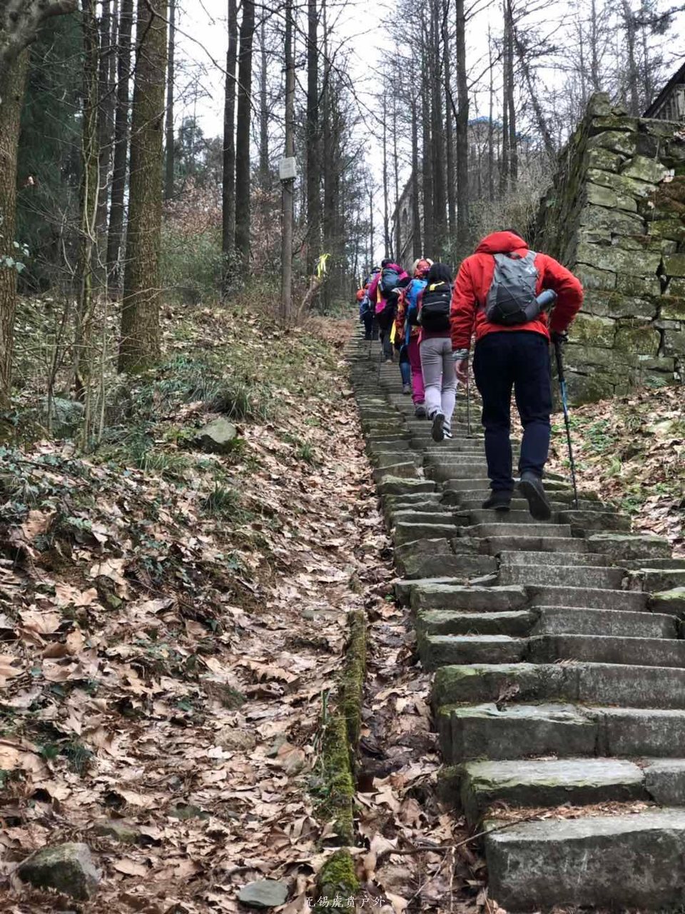 微信图片_20190119191629