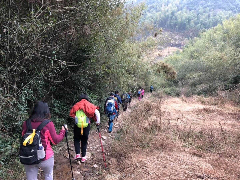 微信图片_20190119191644