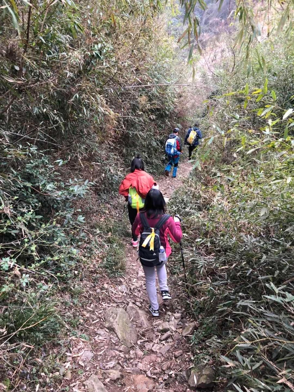 微信图片_20190119191647