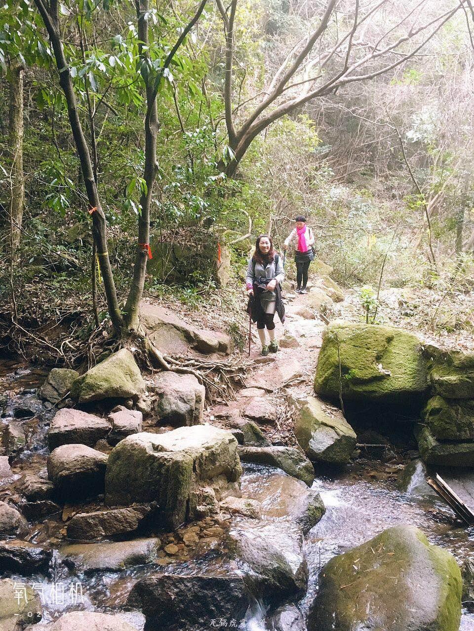 微信图片_20190119191706