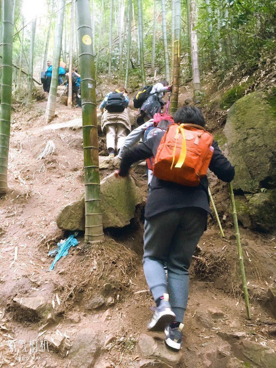 微信图片_20190119191709