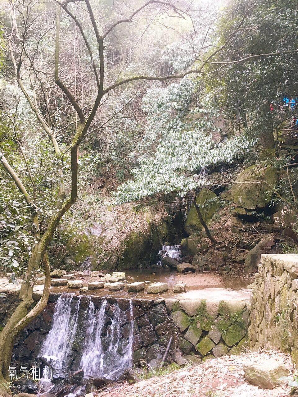 微信图片_20190119191717