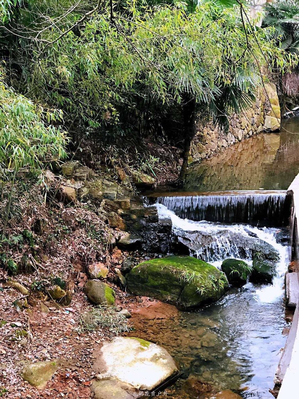 微信图片_20190119191758