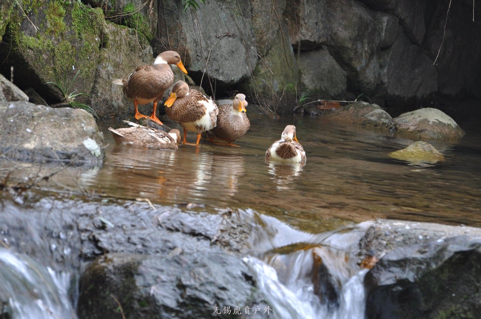 微信图片_20190119214011