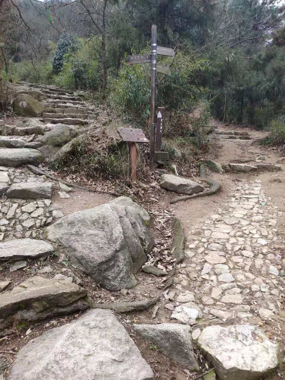 微信图片_20190223112605