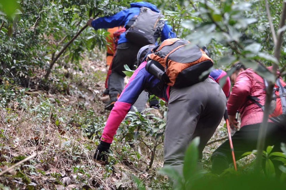 微信图片_20190224160427