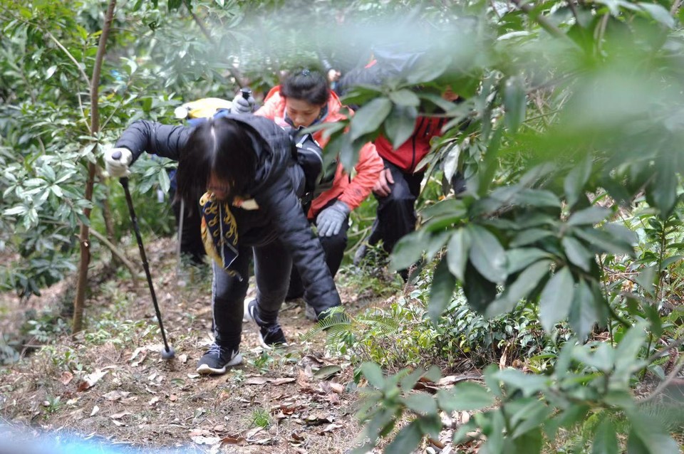 微信图片_20190224160432