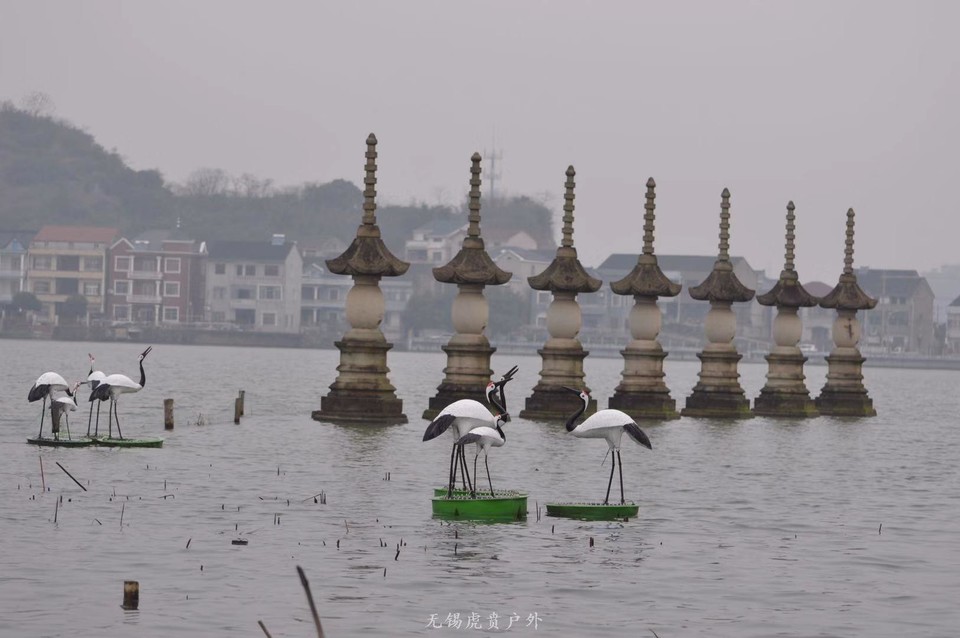 微信图片_20190224160447