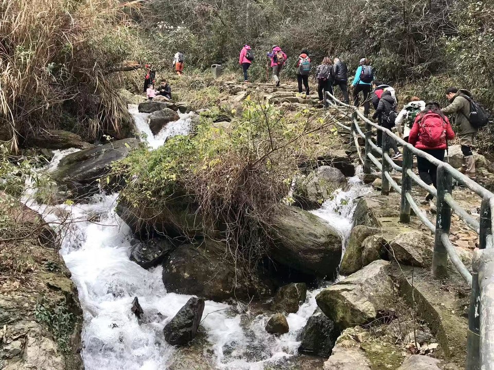 微信图片_20190224160515