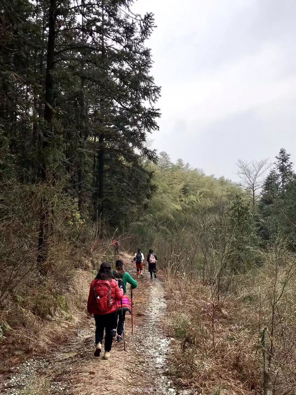 微信图片_20190224160519