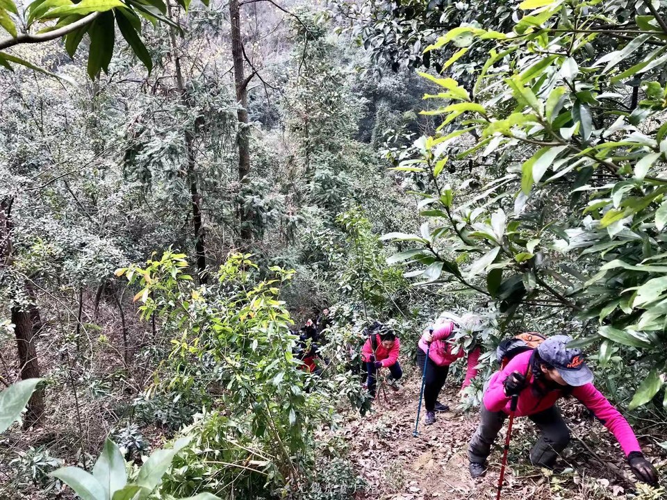 微信图片_20190224160522