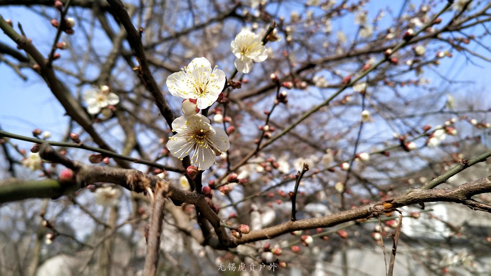 微信图片_20190224154813