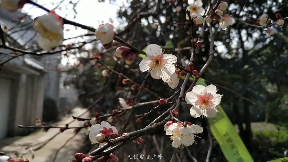 微信图片_20190224154829