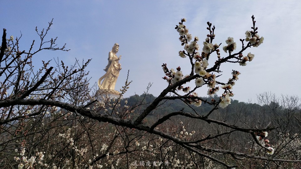 微信图片_20190224154920