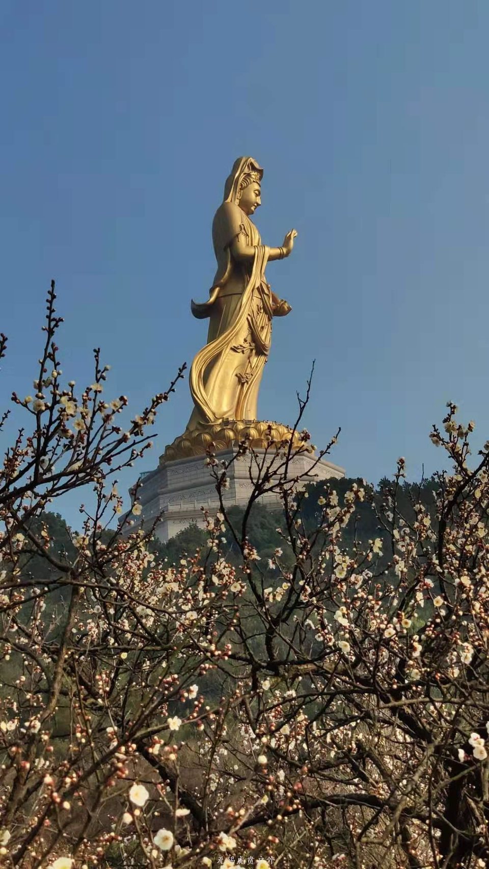 微信图片_20190224154948