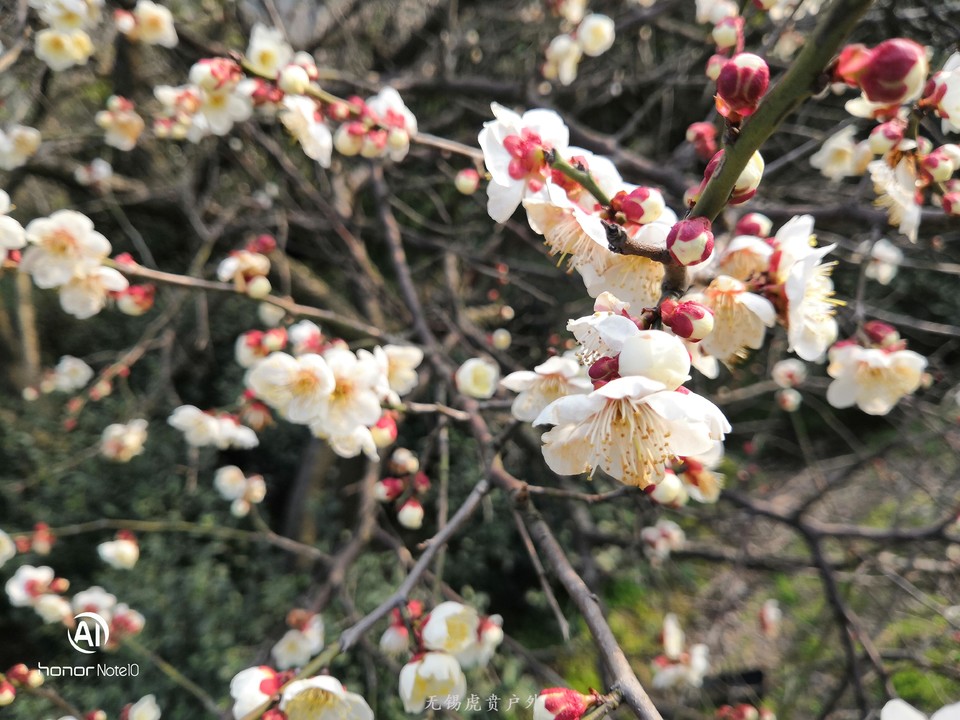 微信图片_20190224184346