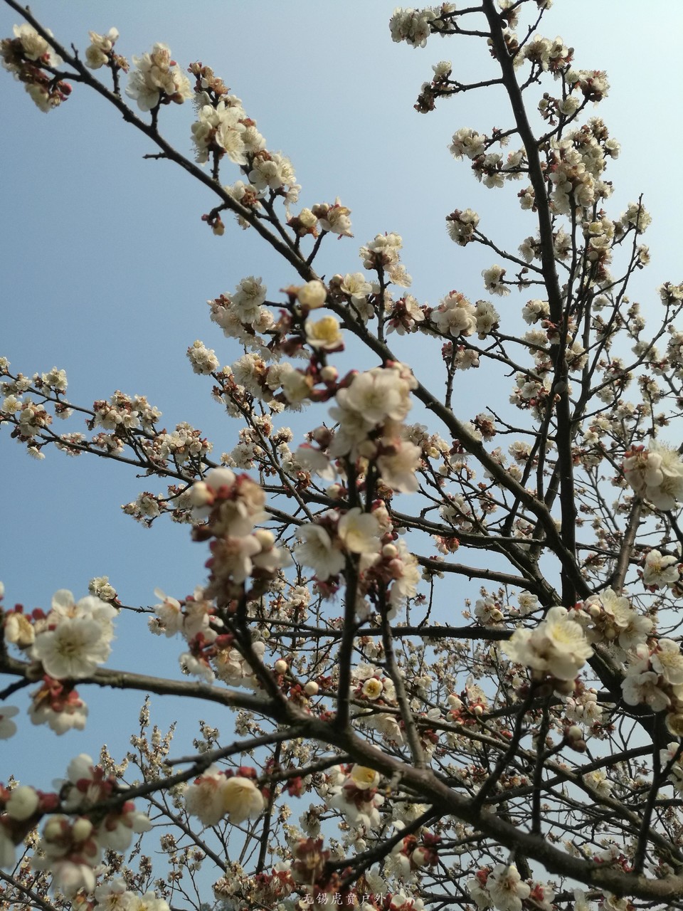 微信图片_20190224184405