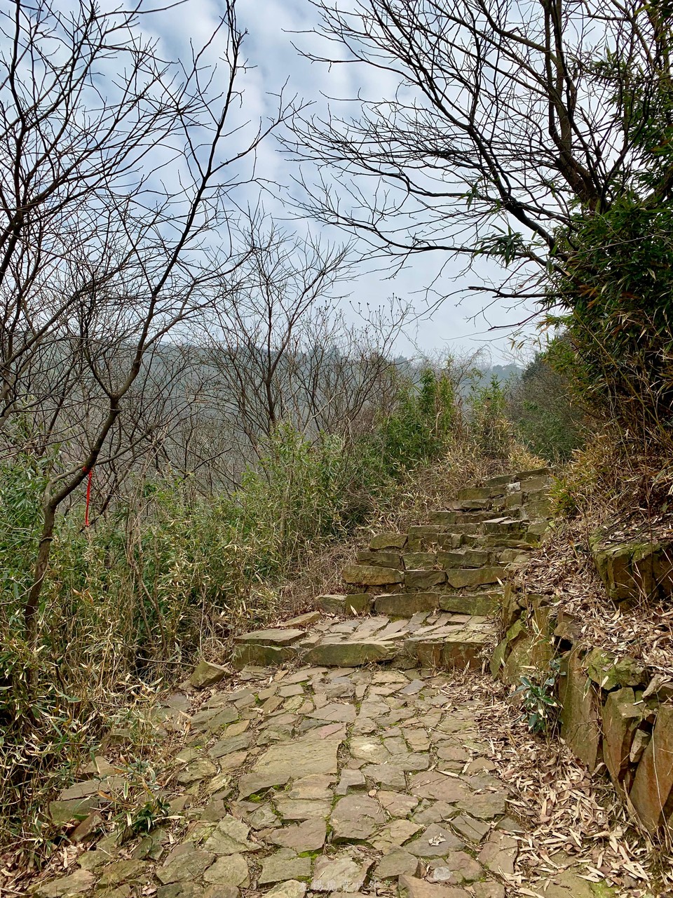 微信图片_20190224184518