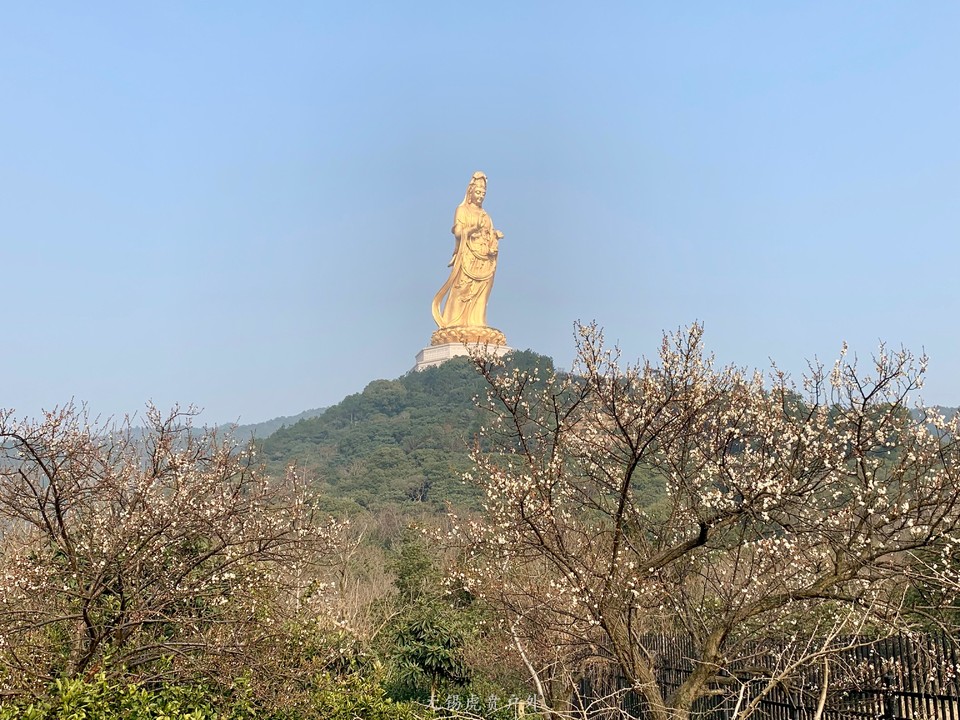 微信图片_20190224184535